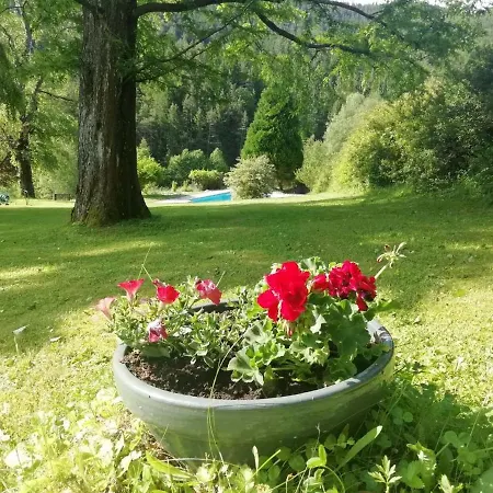 ホテル Landsitz Oberhof Petit